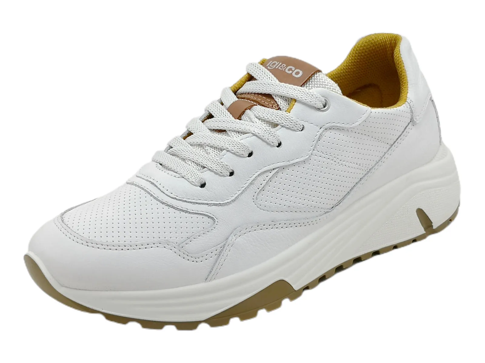   Sneakers Uomo IGI&CO 3630600  